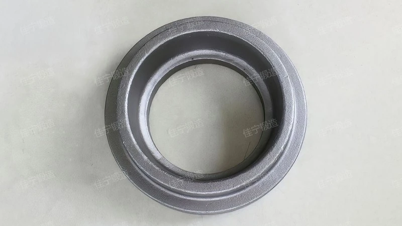 锻造大型环件