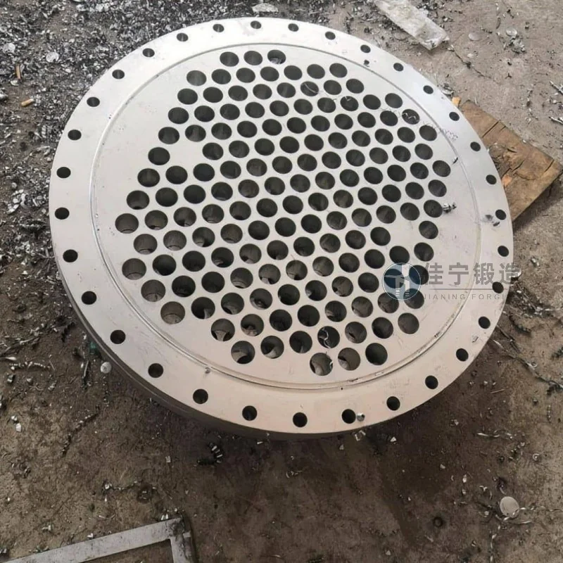 海南东方小型密封盘饼锻件案例
