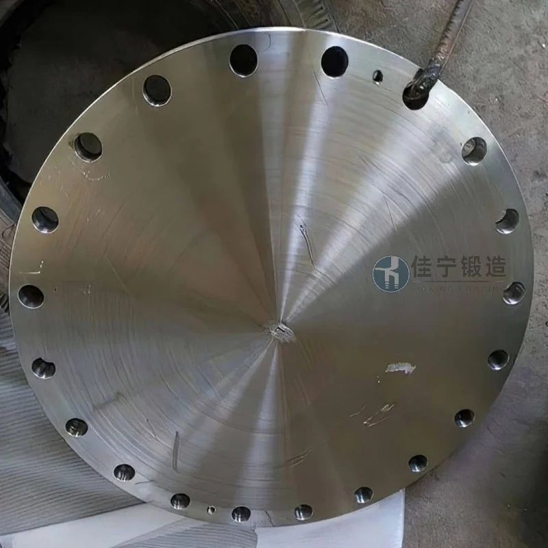 海南东方小型密封盘饼锻件案例